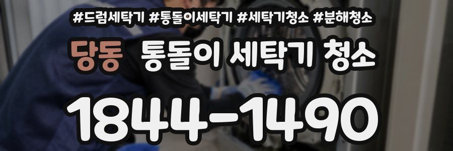 당동 통돌이 세탁기 청소