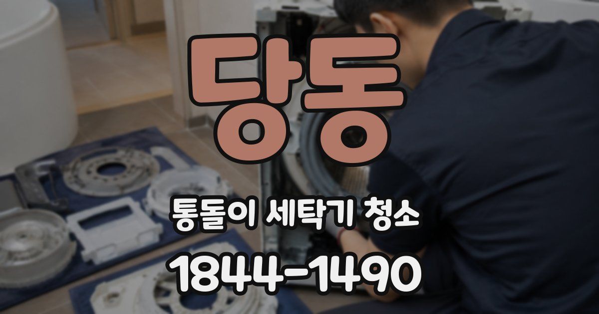 당동 통돌이 세탁기 청소