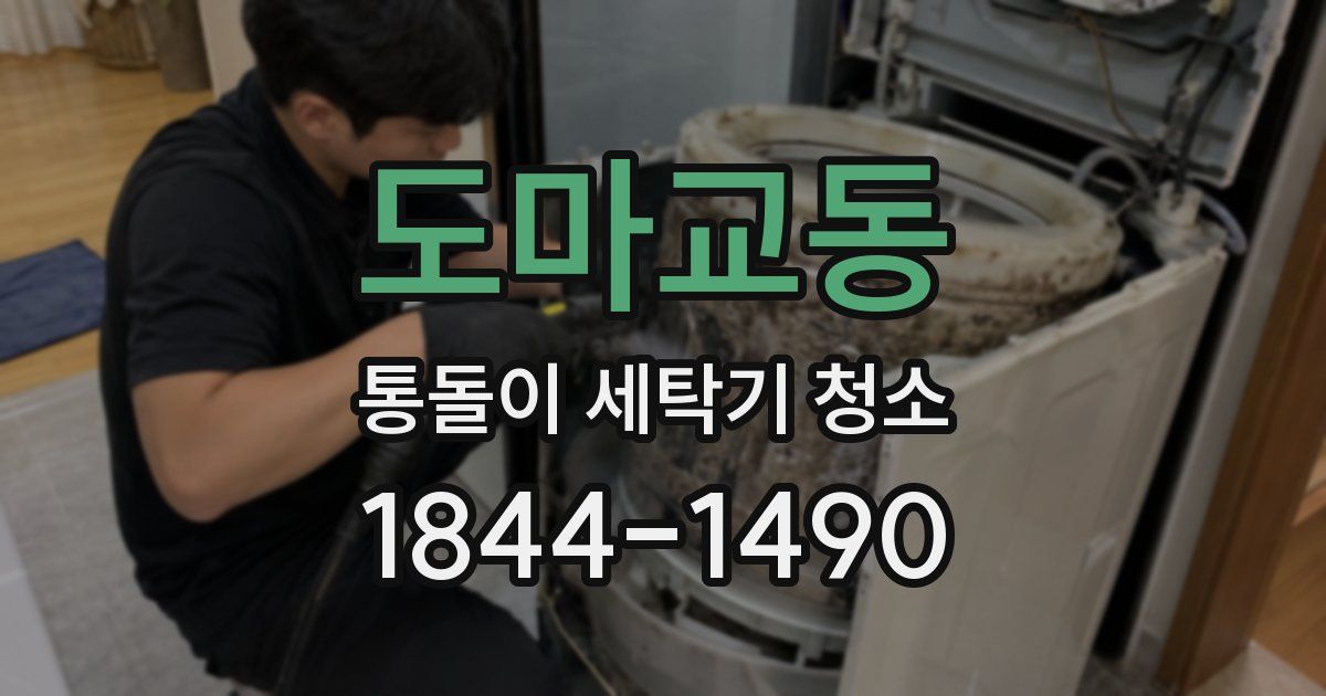 도마교동 통돌이 세탁기 청소