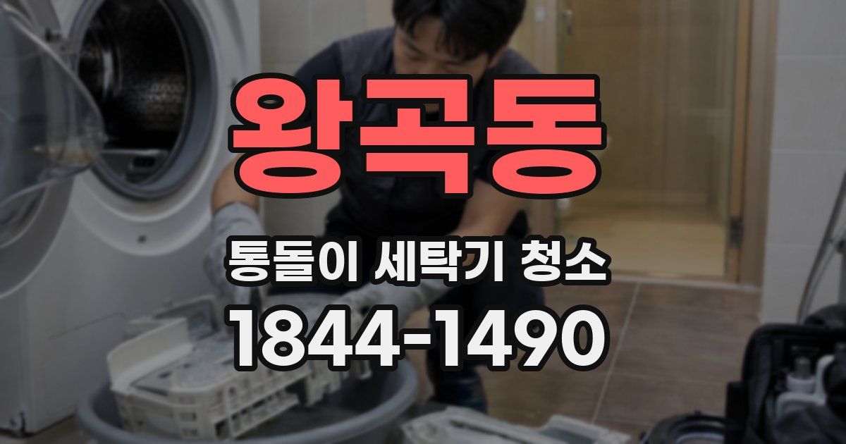왕곡동 통돌이 세탁기 청소