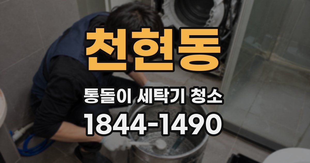 천현동 통돌이 세탁기 청소