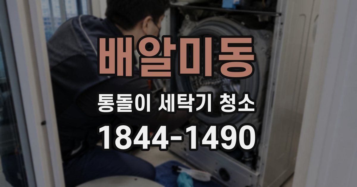 배알미동 통돌이 세탁기 청소