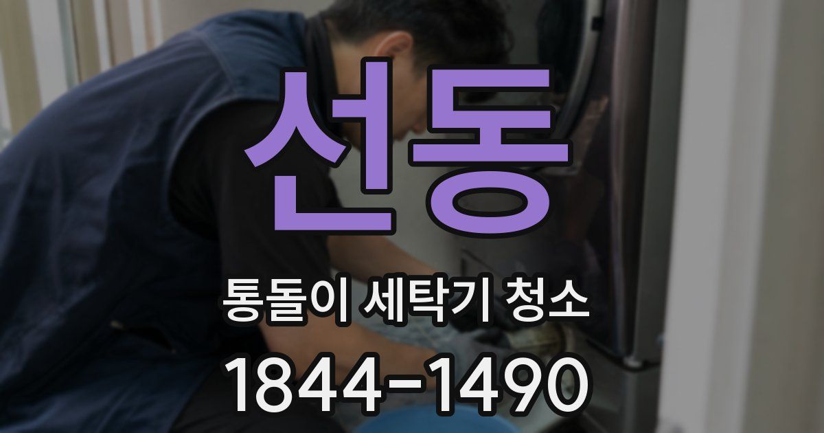 선동 통돌이 세탁기 청소