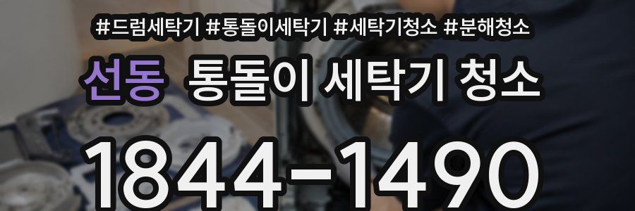 선동 통돌이 세탁기 청소