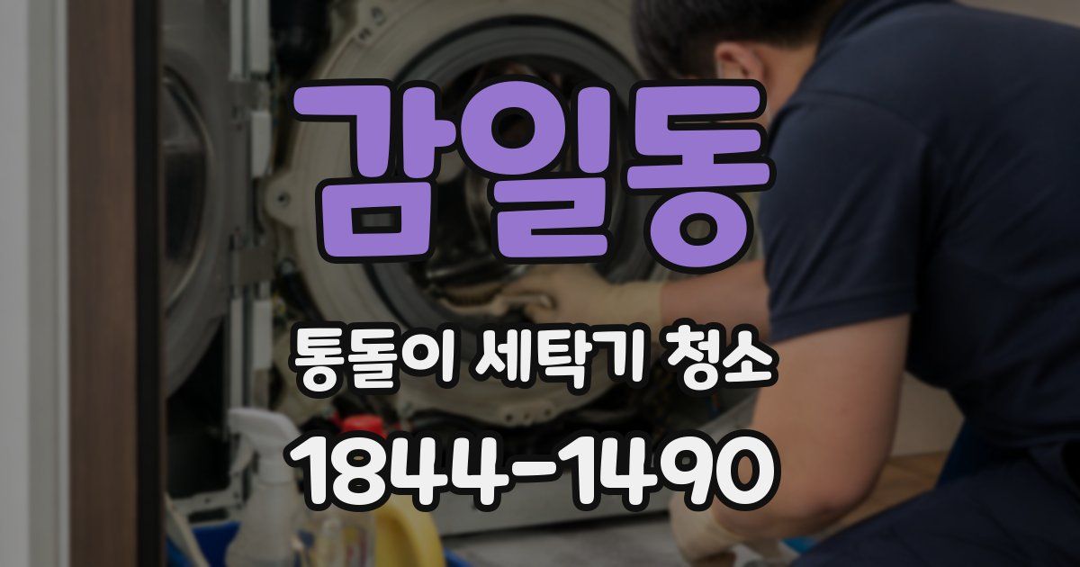 감일동 통돌이 세탁기 청소