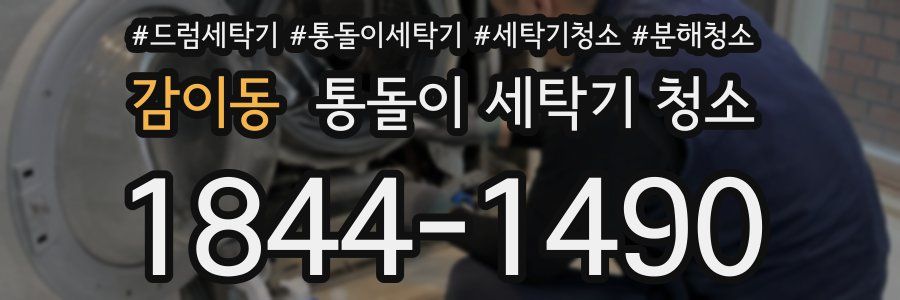감이동 통돌이 세탁기 청소