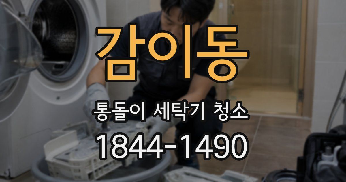 감이동 통돌이 세탁기 청소
