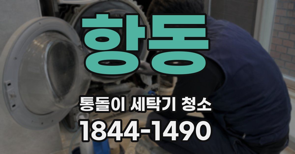 항동 통돌이 세탁기 청소