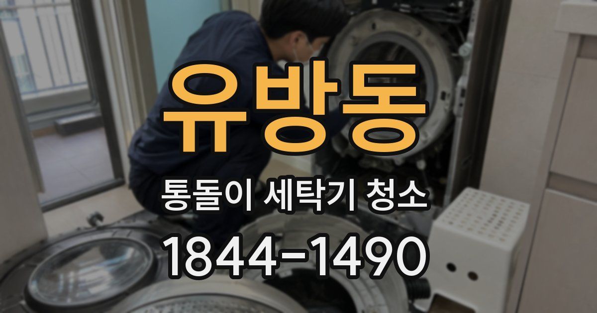 유방동 통돌이 세탁기 청소