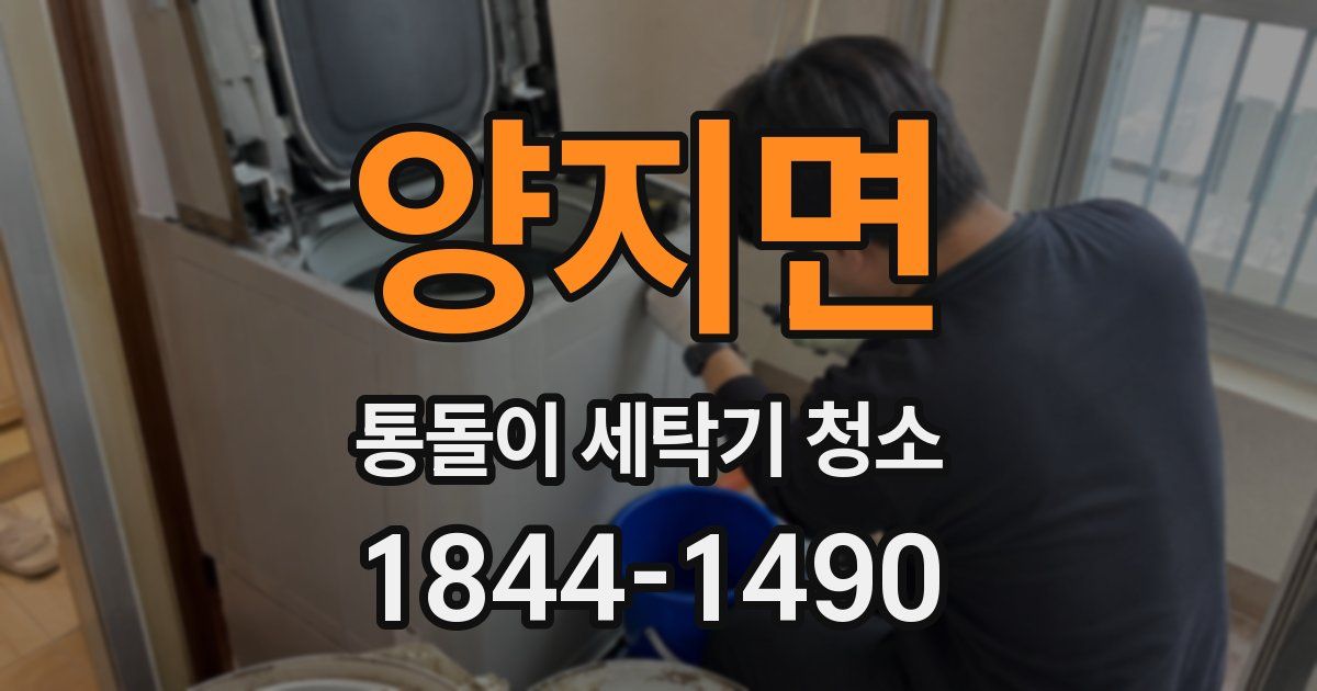 양지면 통돌이 세탁기 청소