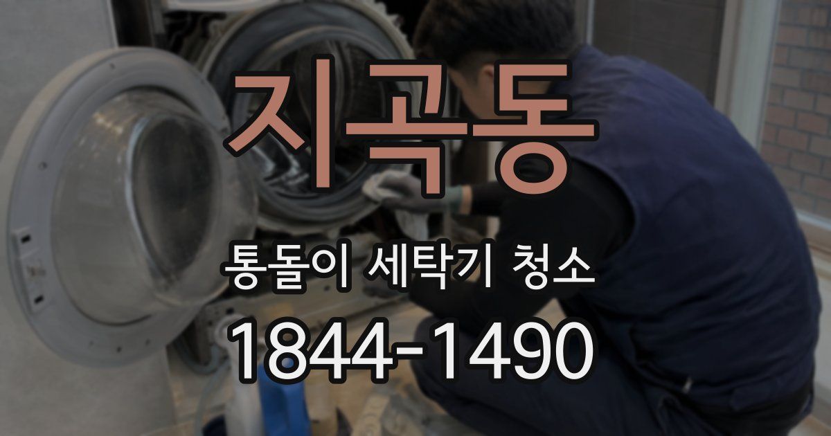 지곡동 통돌이 세탁기 청소