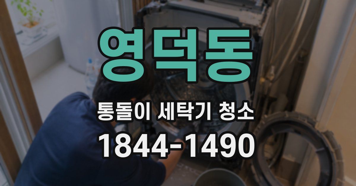 영덕동 통돌이 세탁기 청소