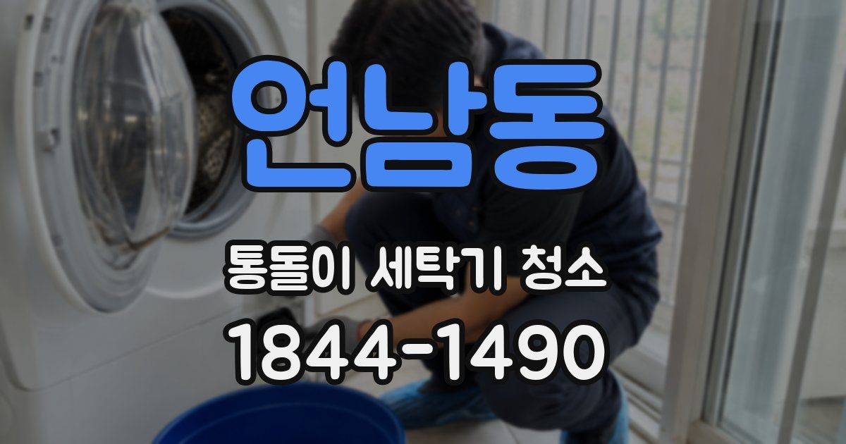 언남동 통돌이 세탁기 청소