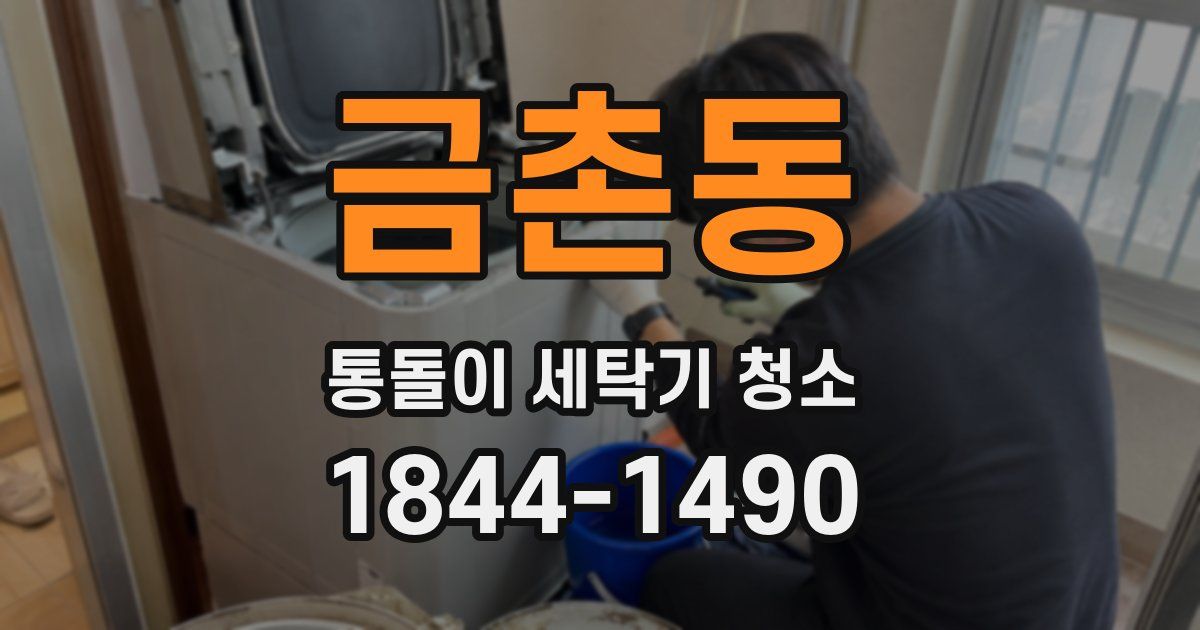 금촌동 통돌이 세탁기 청소