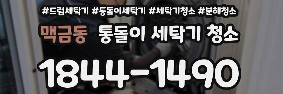 맥금동 통돌이 세탁기 청소
