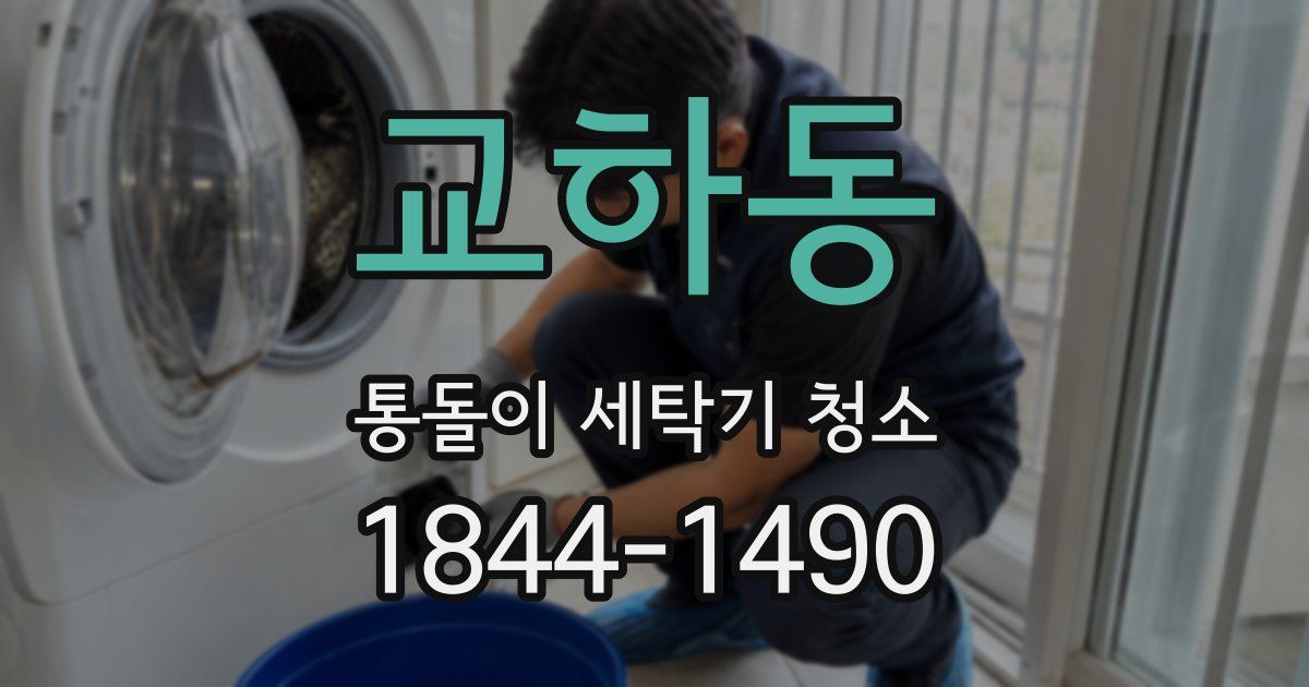 교하동 통돌이 세탁기 청소