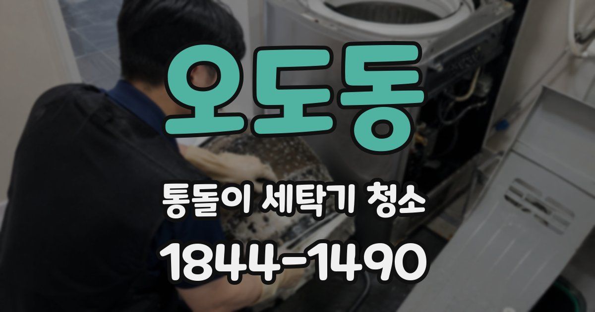 오도동 통돌이 세탁기 청소