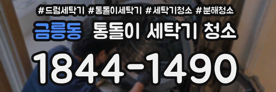 금릉동 통돌이 세탁기 청소
