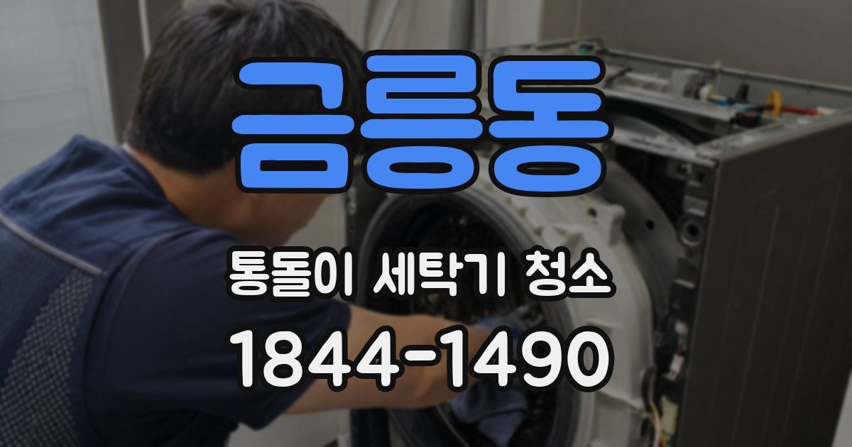 금릉동 통돌이 세탁기 청소