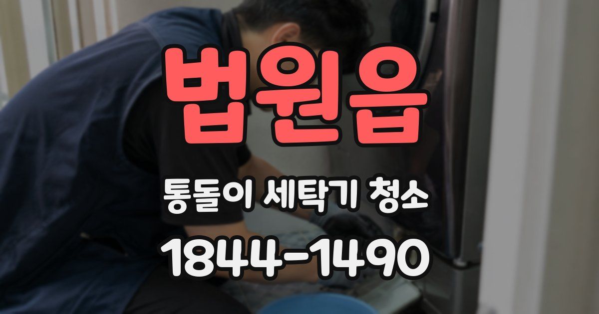 법원읍 통돌이 세탁기 청소