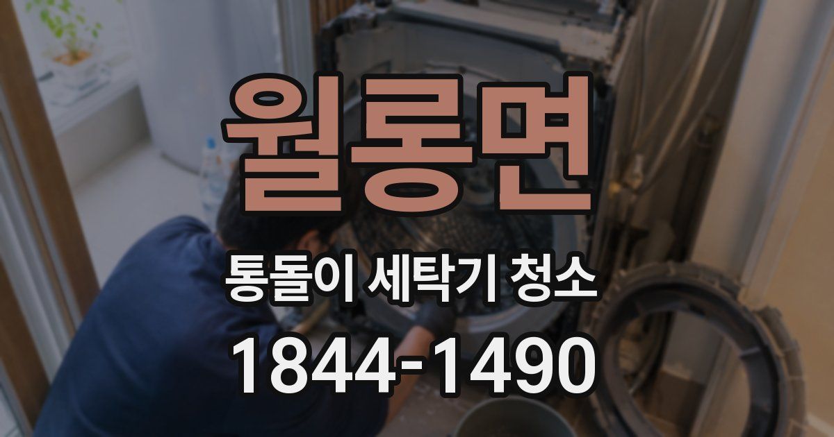 월롱면 통돌이 세탁기 청소