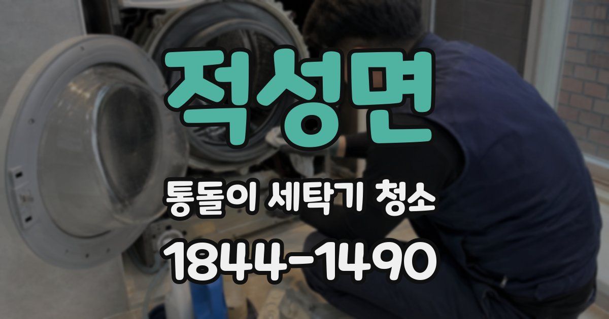 적성면 통돌이 세탁기 청소
