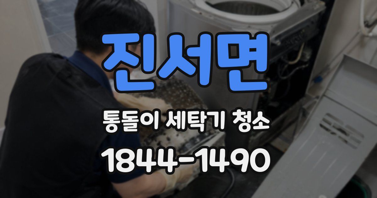 진서면 통돌이 세탁기 청소