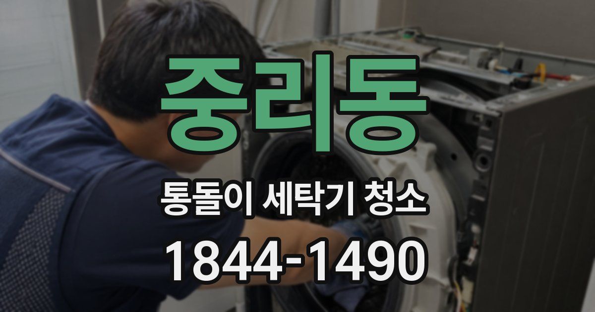 중리동 통돌이 세탁기 청소