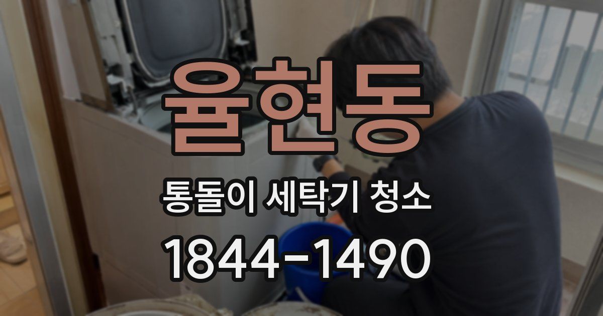 율현동 통돌이 세탁기 청소