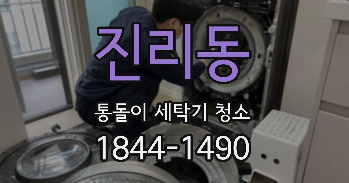 진리동 통돌이 세탁기 청소