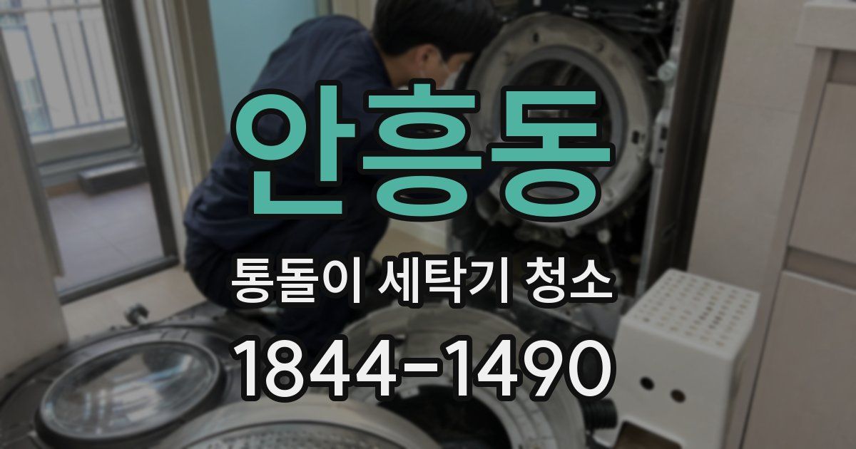 안흥동 통돌이 세탁기 청소