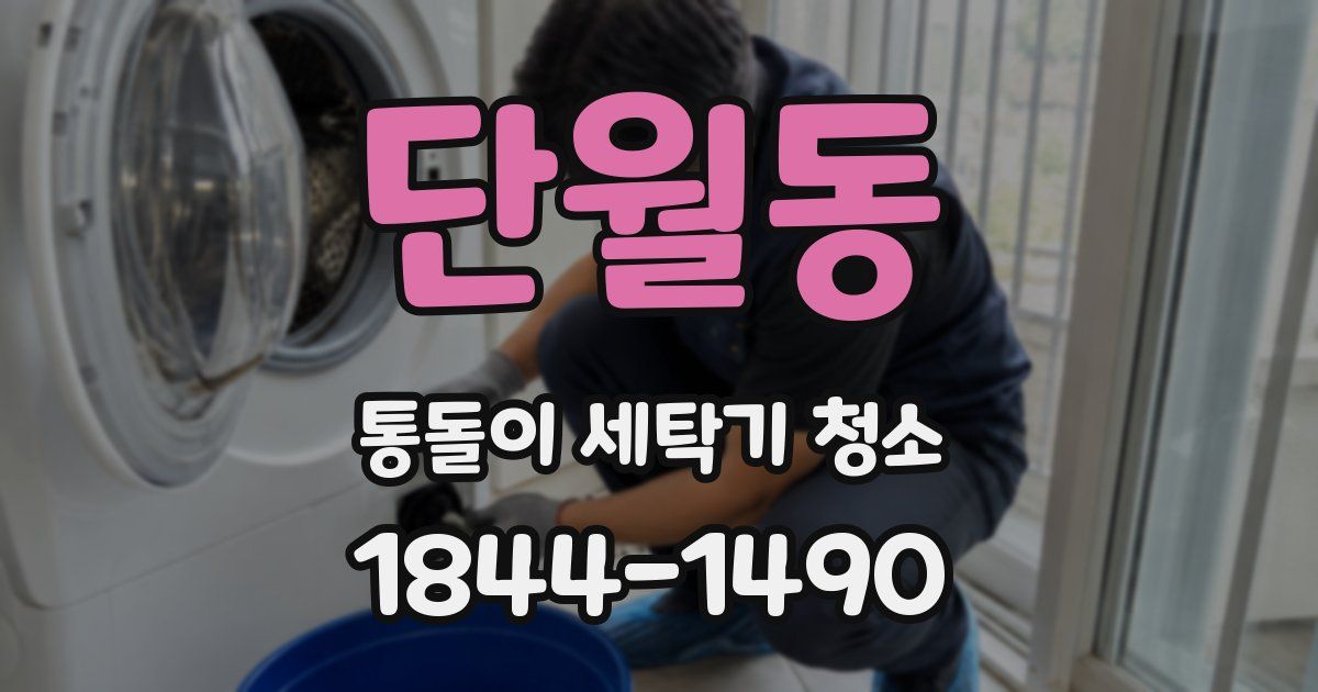 단월동 통돌이 세탁기 청소