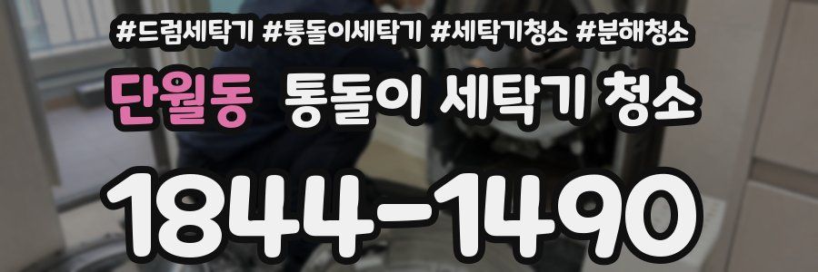 단월동 통돌이 세탁기 청소