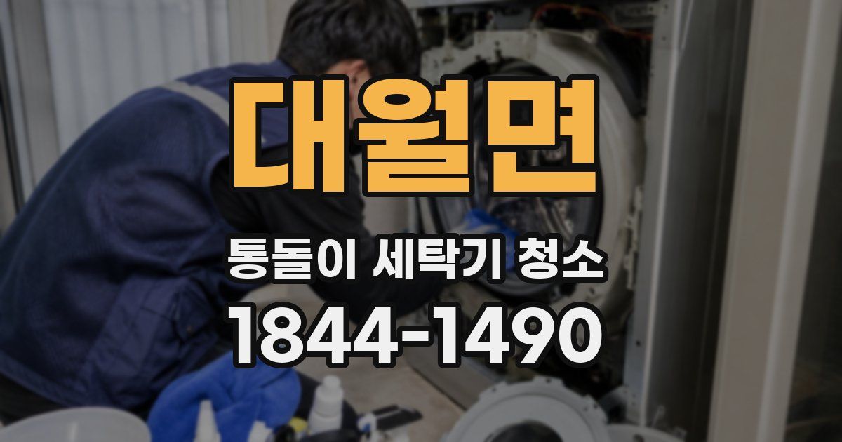 대월면 통돌이 세탁기 청소
