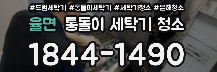 율면 통돌이 세탁기 청소