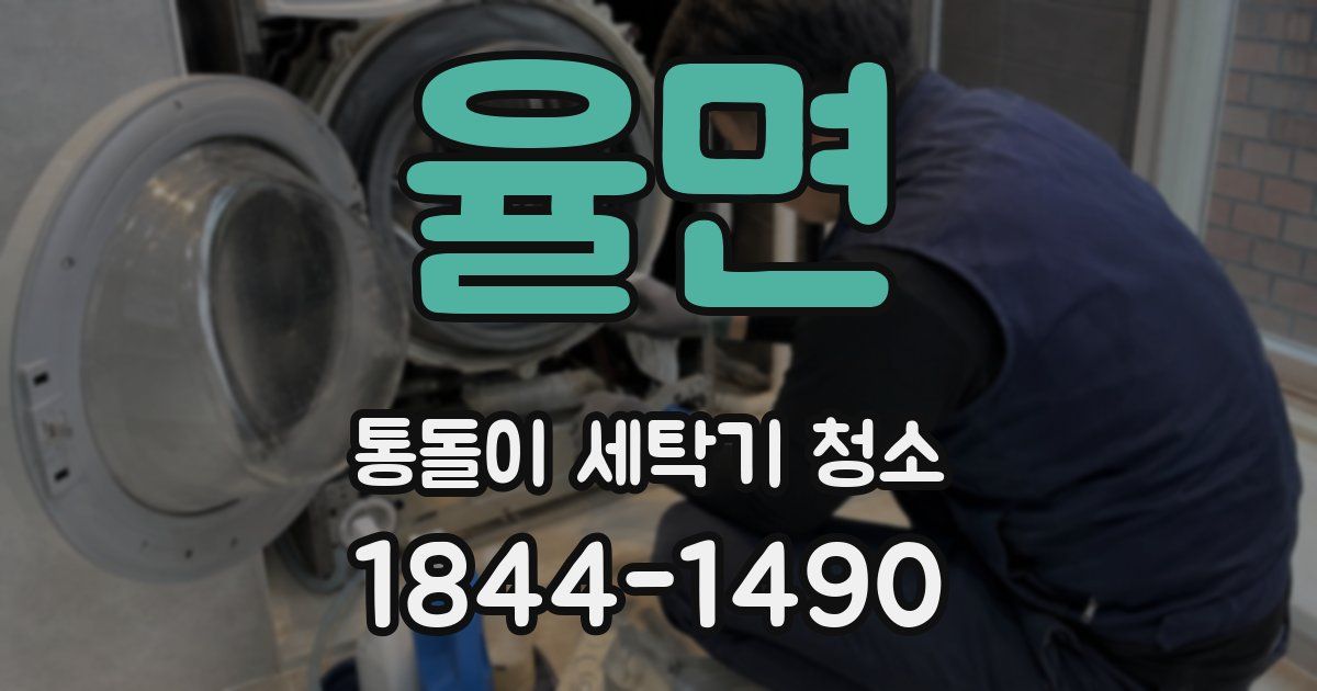 율면 통돌이 세탁기 청소