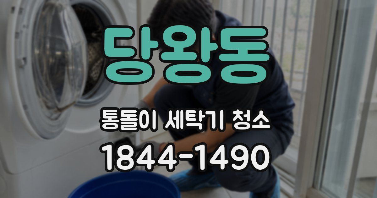 당왕동 통돌이 세탁기 청소