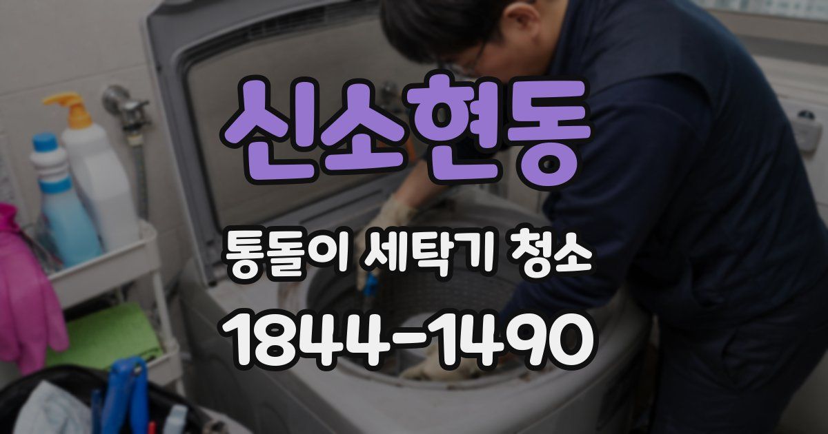 신소현동 통돌이 세탁기 청소