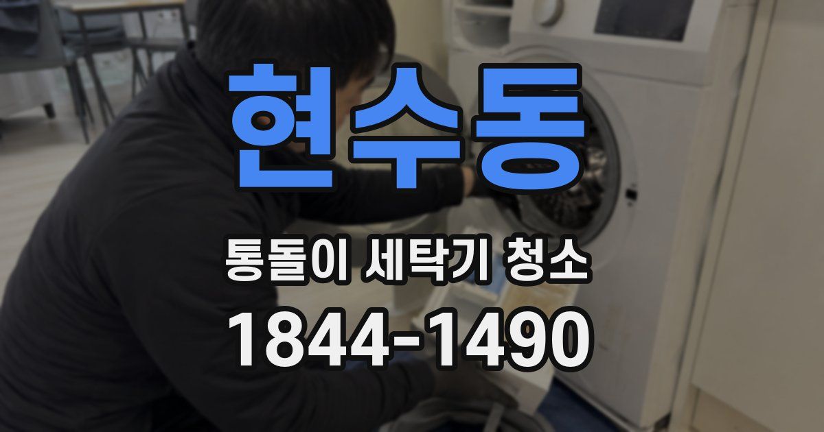 현수동 통돌이 세탁기 청소