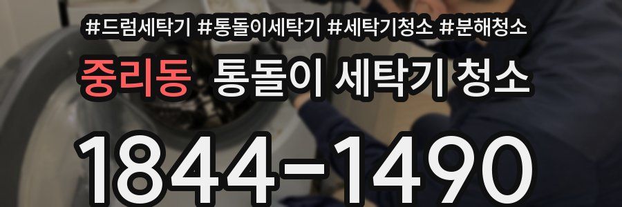 중리동 통돌이 세탁기 청소