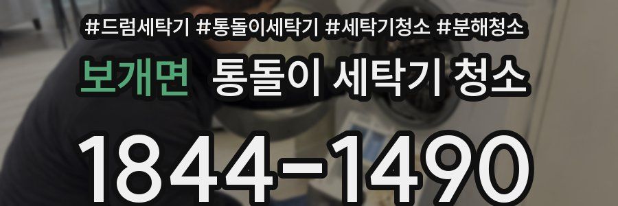 보개면 통돌이 세탁기 청소