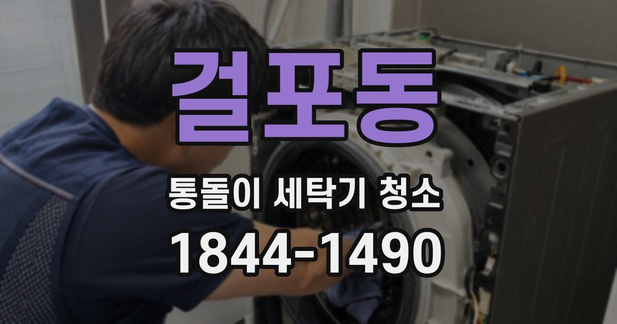 걸포동 통돌이 세탁기 청소