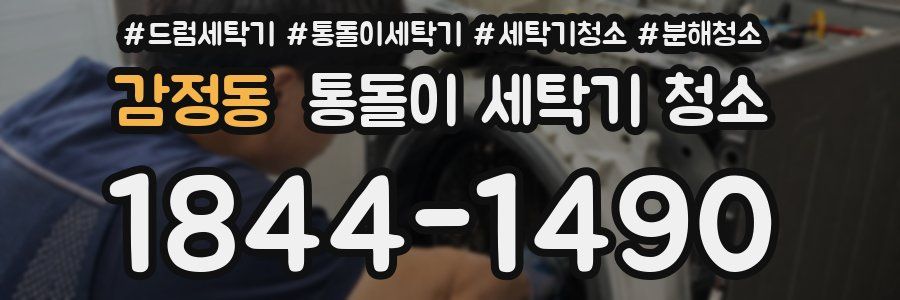 감정동 통돌이 세탁기 청소