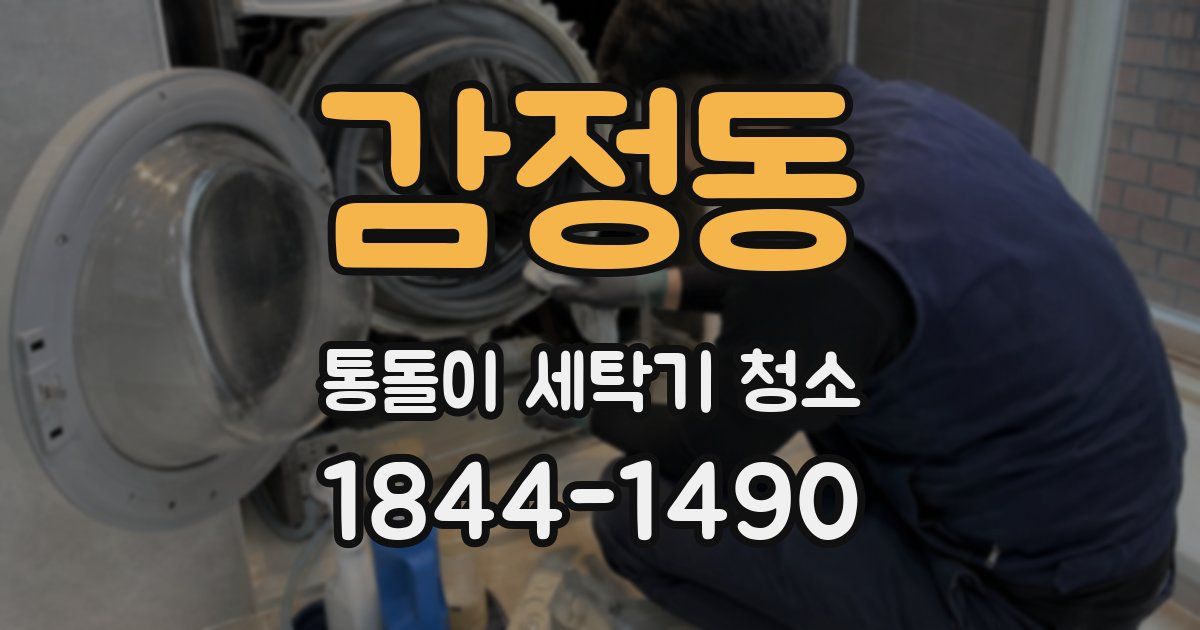 감정동 통돌이 세탁기 청소