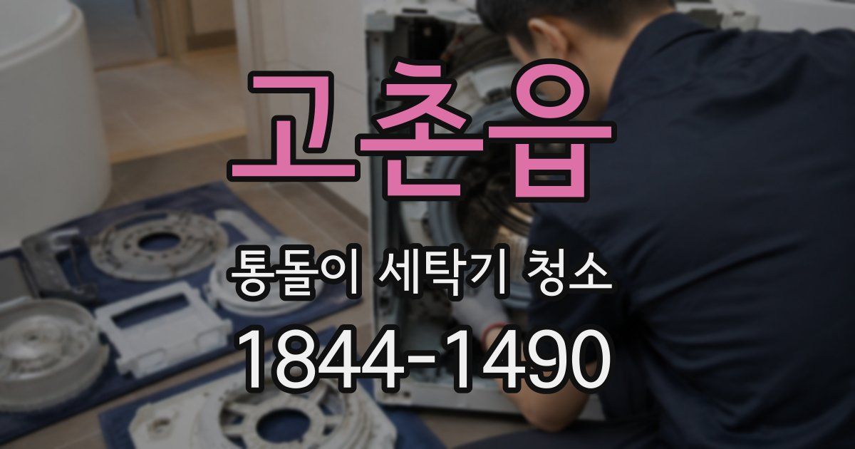 고촌읍 통돌이 세탁기 청소