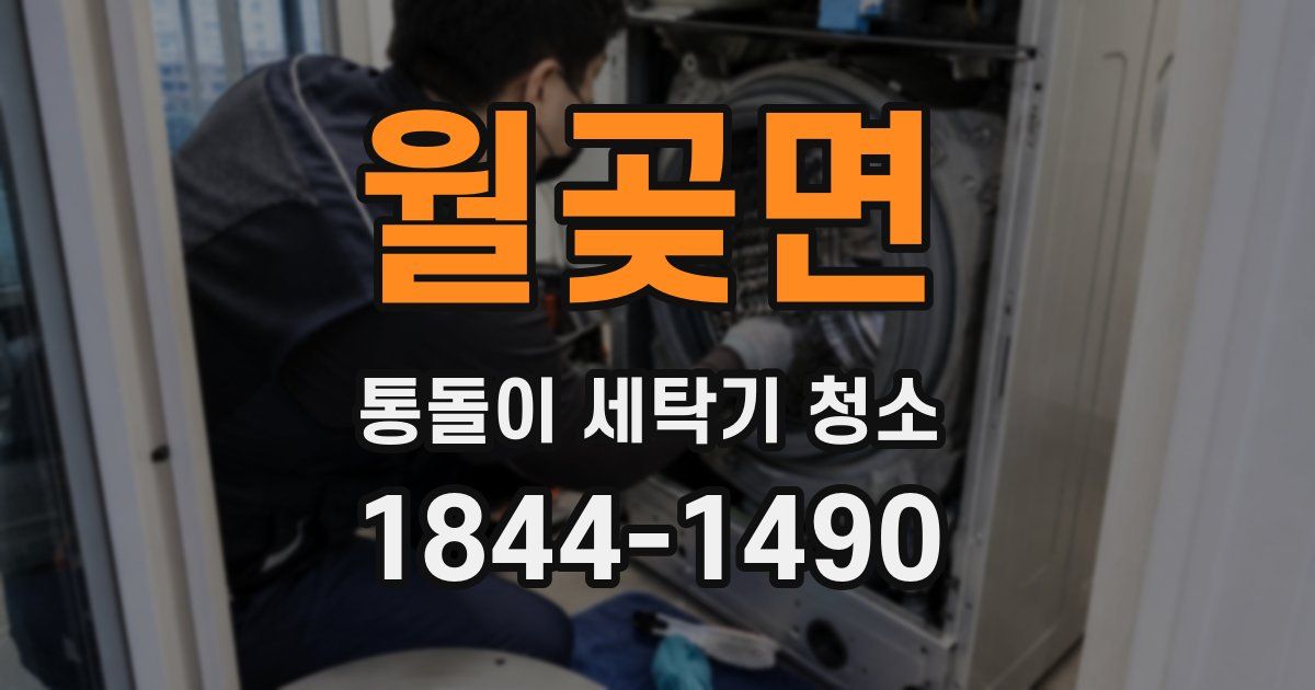 월곶면 통돌이 세탁기 청소