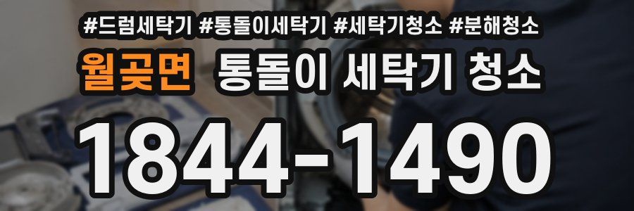월곶면 통돌이 세탁기 청소