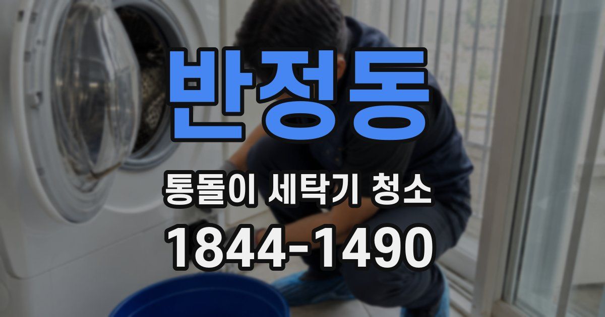 반정동 통돌이 세탁기 청소