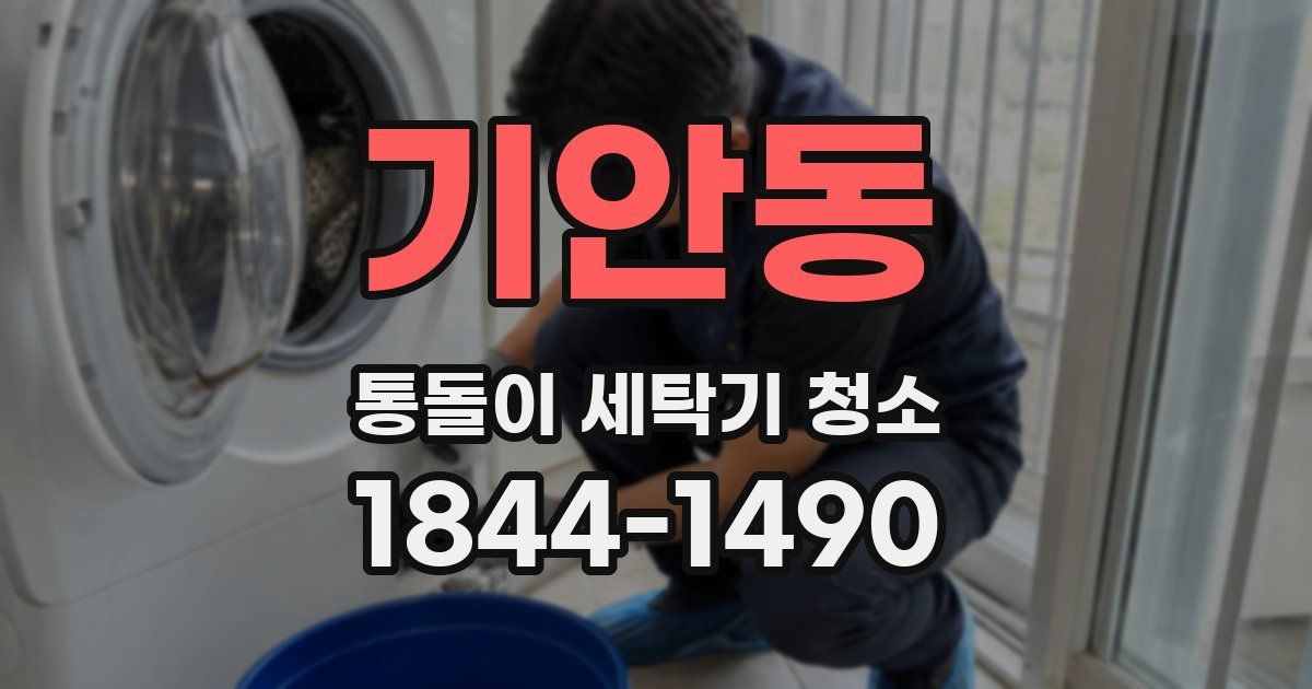 기안동 통돌이 세탁기 청소