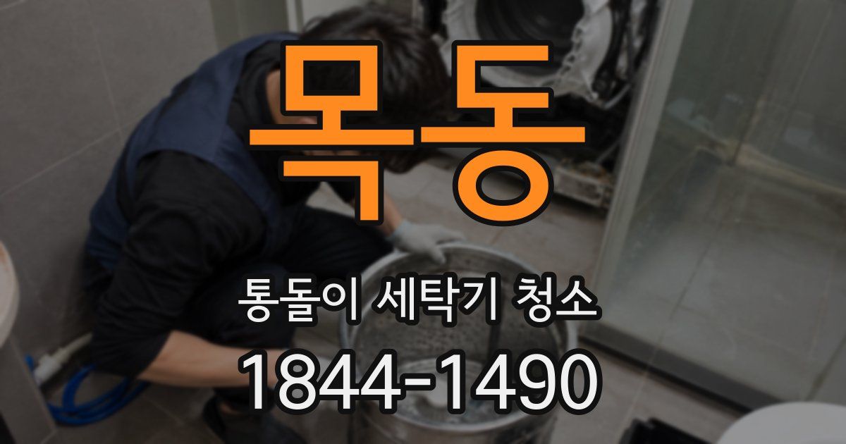 목동 통돌이 세탁기 청소